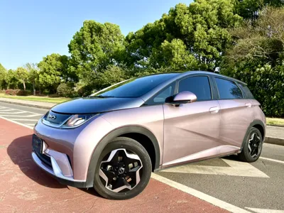 BYD Dolphin · 2021 год