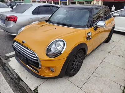 MINI MINI · 2015 год