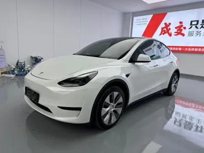 Tesla Model Y · 2022 год