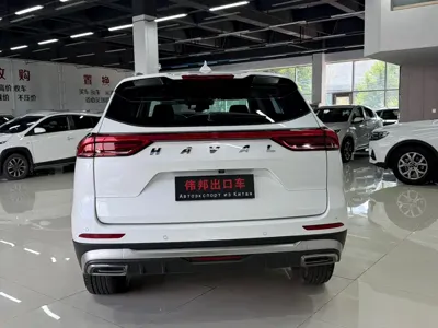 Haval H6 2023, 74000 км, за 76800 CNY - фото 5