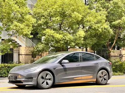 Tesla Model 3 · 2021 год