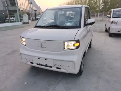Lingbao Uni · 2024 год