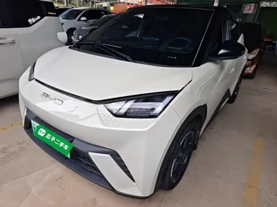 BYD Seagull · 2023 год