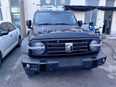 Tank Tank 300 2022, 63800 км, за 119000 CNY
