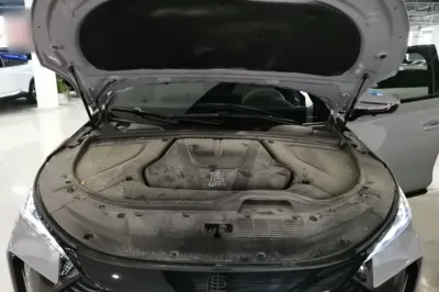BYD Tang New Energy 2025, 27100 км, за 128835.11 CNY - фото 30