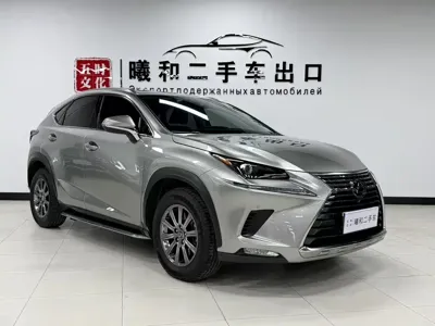 Lexus NX 2019, 68000 км, за 159900 CNY
