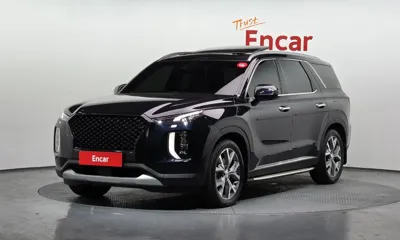 Hyundai Palisade · 2020 год