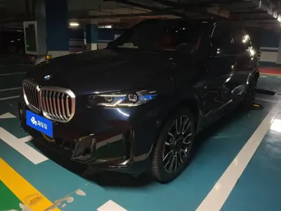 BMW X5 · 2024 год