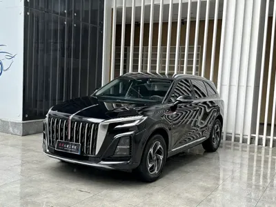 Hongqi Hongqi HS3 · 2024 год