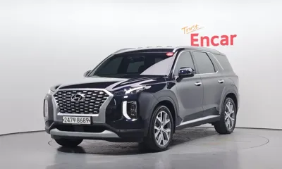 Hyundai Palisade · 2020 год