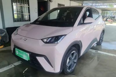 BYD Seagull · 2024 год