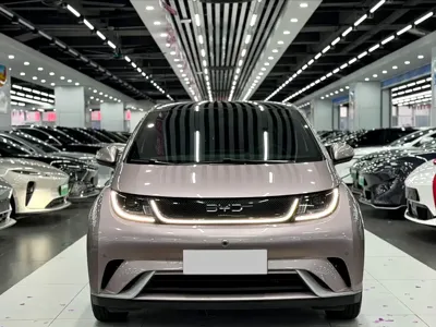 BYD Dolphin 2024, 10000 км, за 69800 CNY