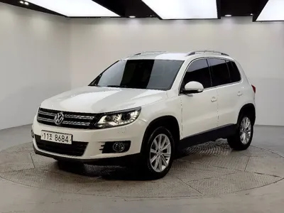 Volkswagen Tiguan · 2015 год