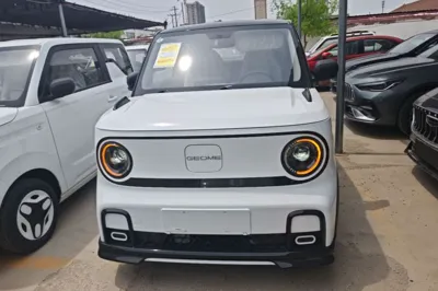 Geely Galaxy Panda 2025, 100 км, за 53520.41 CNY