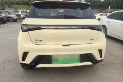BYD Dolphin 2025, 100 км, за 89502.06 CNY