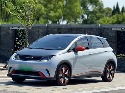 BYD Dolphin · 2021 год