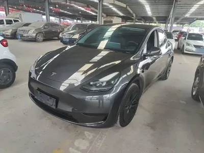 Tesla Model Y · 2024 год