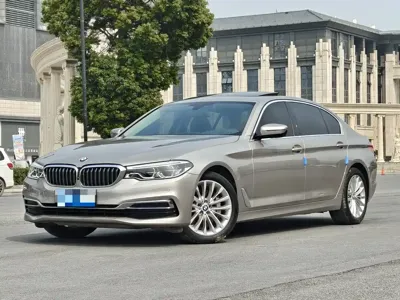 BMW 5 Series · 2019 год