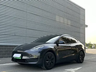 Tesla Model Y · 2024 год