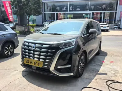 Denza Denza D9 · 2025 год