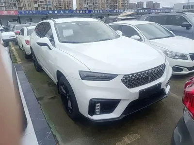 WEY Wey VV7 2019, 49000 км, за 49400 CNY