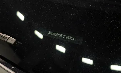 Kia Canival 2023, 51082 км, за 28500000 KRW - фото 33