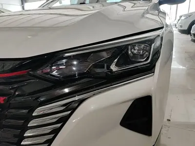 Aeolus MAX 2021, 51100 км, за 37000 CNY - фото 24