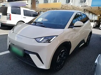 BYD Seagull · 2024 год