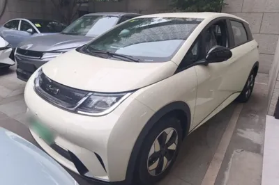 BYD Dolphin · 2025 год