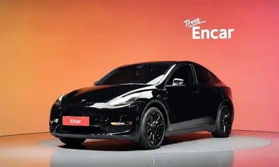 Tesla Model Y · 2023 год