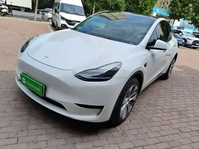 Tesla Model Y · 2023 год