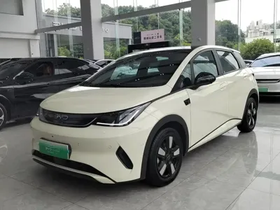 BYD Dolphin · 2025 год