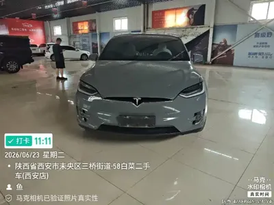 Tesla Model X · 2020 год