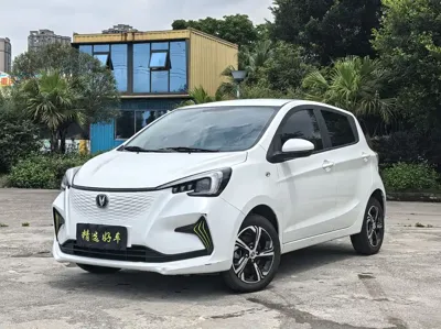 Changan Benben E-Star · 2020 год