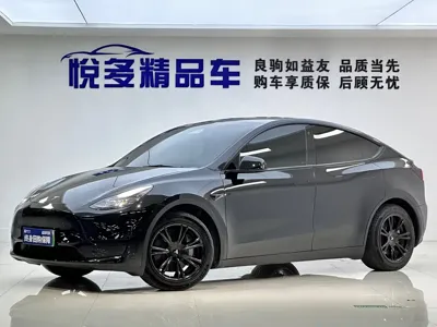 Tesla Model Y · 2022 год