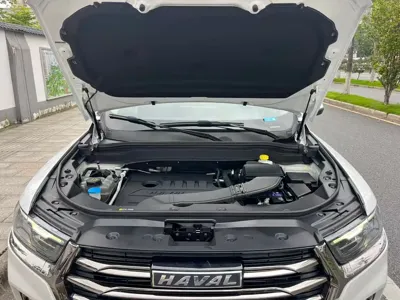 Haval H6 2022, 46000 км, за 67800 CNY - фото 16