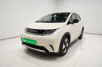 BYD Dolphin · 2023 год