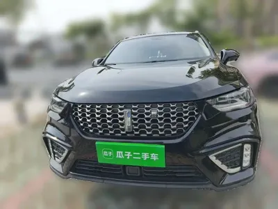 WEY Wey VV5 2021, 44700 км, за 46300 CNY - фото 3