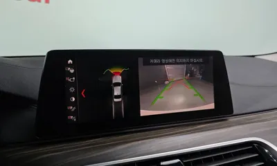 BMW 5-Series 2019, 233828 км, за 17000000 KRW - фото 14