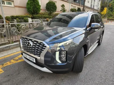 Hyundai Palisade · 2019 год