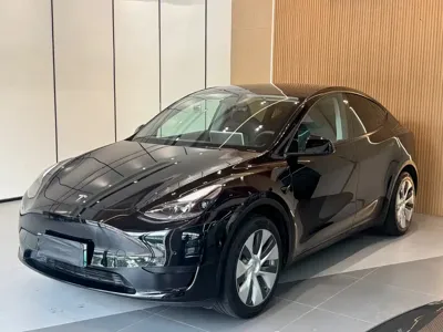 Tesla Model Y · 2023 год