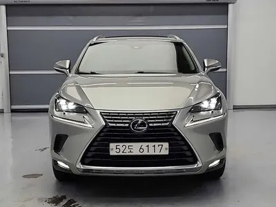 Lexus NX · 2019 год