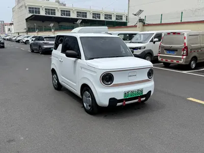 Galaxy Panda 2025, 5000 км, за 28800 CNY