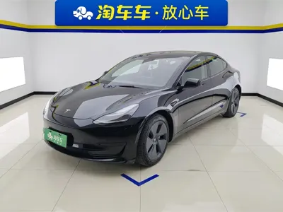 Tesla Model 3 · 2021 год