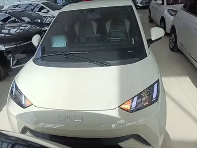 BYD Seagull 2024, 24200 км, за 50000 CNY - фото 3