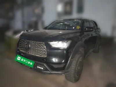Great Wall Poer · 2021 год