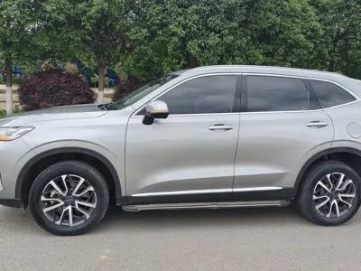 Haval H6 2022, 46000 км, за 49800 CNY - фото 17