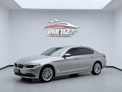 BMW 5 Series · 2019 год