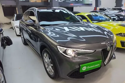 Alfa Romeo Stelvio 2020, 30400 км, за 171689.51 CNY