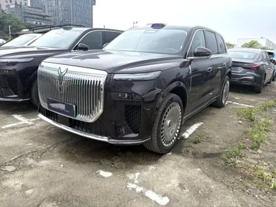 Voyah 岚图泰山 · 2025 год